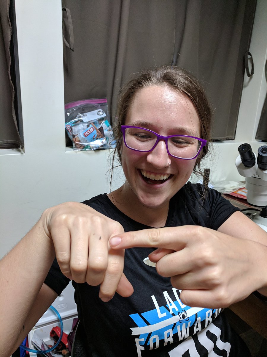 uwcurrielab's tweet photo. @charbarian’s #antfact: #turtleants can morph the shape of their head to block off holes in their colonies to protect against invaders! They’re also super tiny—the dot on Charlotte’s hand is one! #antweek
@UWMadisonCALS @UWMadScience https://t.co/NAq9kDSKUG