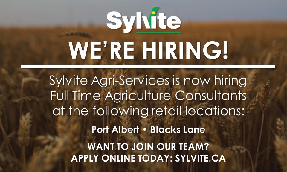 Do you want to #WorkWithSylvite? We're hiring an #AgriculturalConsultant at both of our Blacks Lane and Port Albert locations. Apply to join our team TODAY: sylvite.ca #CKOntJobs #CKOnt #OntAg #OntAgJobs #EastCanAg #AgJobs #LocalJobs #Hiring