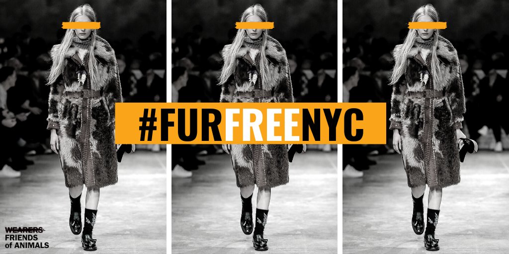 FoAorg's tweet photo. #NYCFashionWeek starts today and we’re reminding everyone that fur has no place in modern society. If NYC wants to remain a fashion capital, it needs to #FlipOFfFur. Help us achieve a #FurFreeNYC and ask @NYCCouncil to support Intro 1476 to ban the sale of fur in #NYC https://t.co/HW4eT2ZQvo