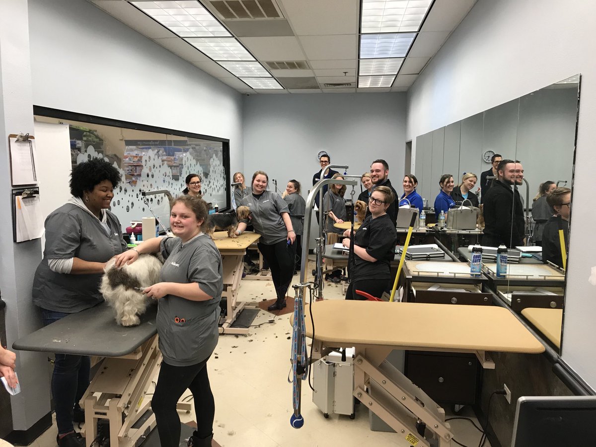 Two weeks until graduation, good luck future PetSmart Stylists in C IL &amp; KY on a bright &amp; rewarding future! 🐶 🐱 #LifeAtPetSmart#TrustedPartner