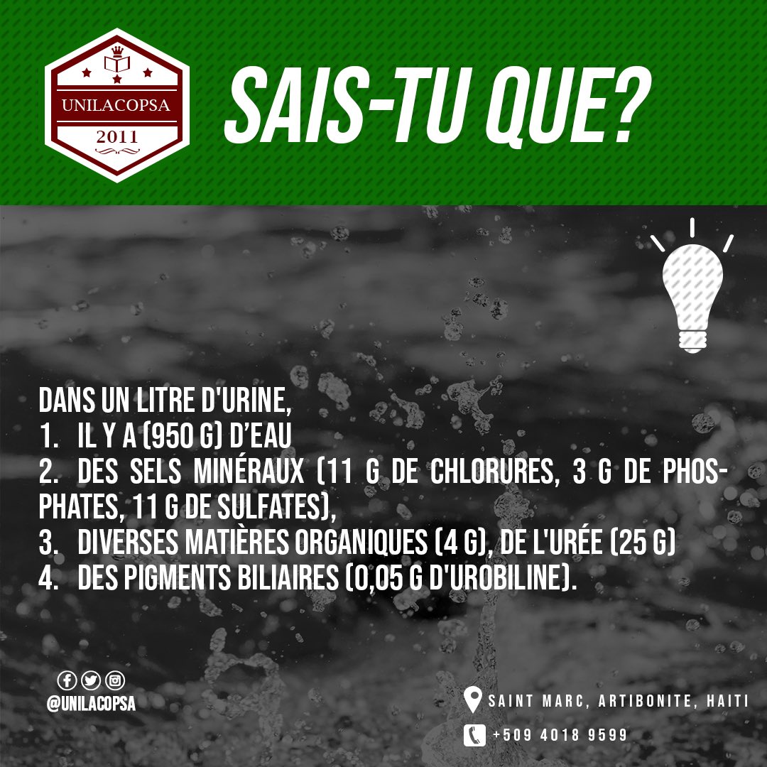 unilacopsa's tweet photo. 💡 Sais-tu que? 💡

L’urine contient diverses matières organiques. 

#Unilacopsa #SaintMarc #Education #FomeTètOu  #Artibonite #Université #Haïti https://t.co/FnXqdkwawN