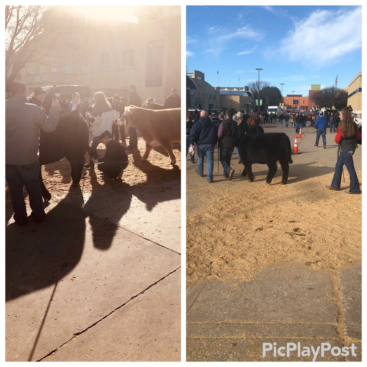 Danettesoasis's tweet photo. Traffic jam @Danettesoasis walk in to @fwssr this morning! Come see @Danettesoasis @fwssr #booth803 #seeyasoon #shoplocalfw #SmallBusiness @VisitFortWorth https://t.co/ACH7c0nicR
