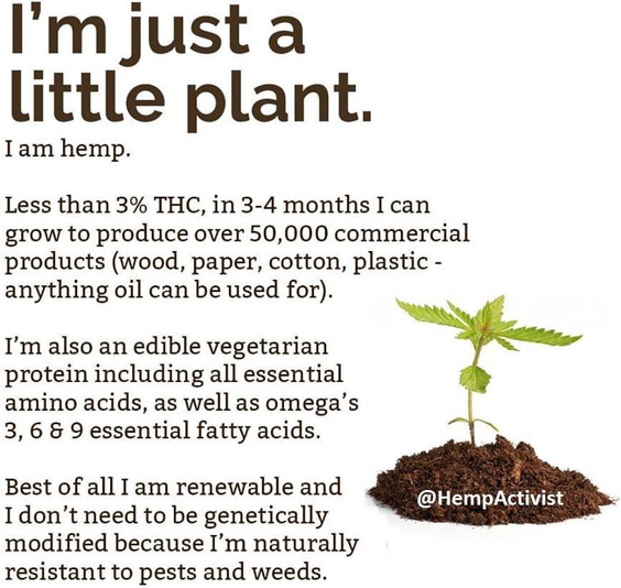 I am #hemp: 
To Order #hempoil-> AbbyChristopher.com