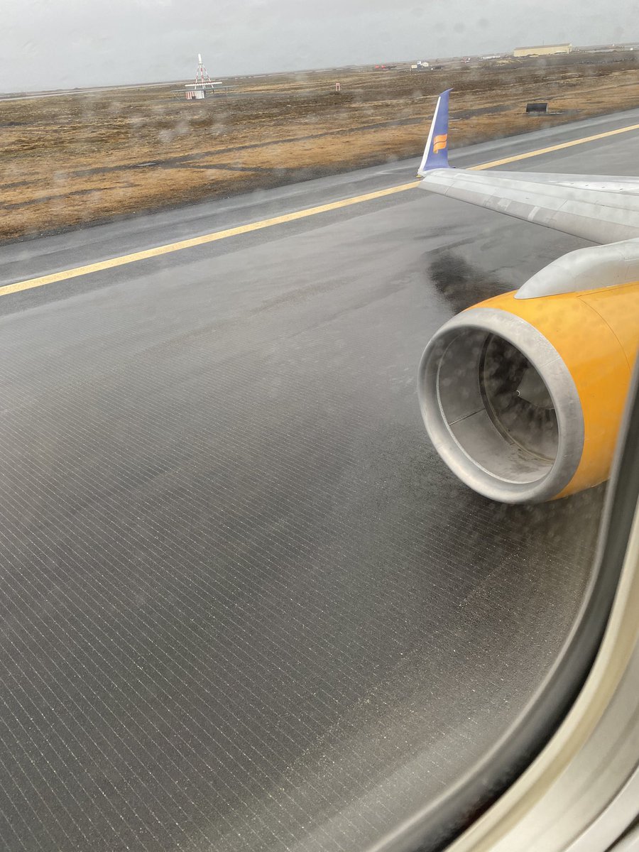 My first airplane "crash". Everyone is fine but the landing gear collapsed on landing.