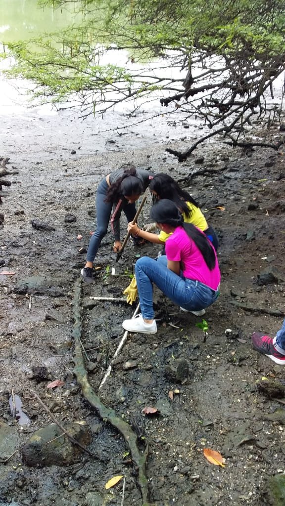 waterkeeperEC's tweet photo. ¡Creemos firmemente que juntos lograremos un #EsteroVivo! @UdeGuayaquil @espol @uees_ec @istvr_edu_ec @ClubKawsay https://t.co/h7LFubPv3i
