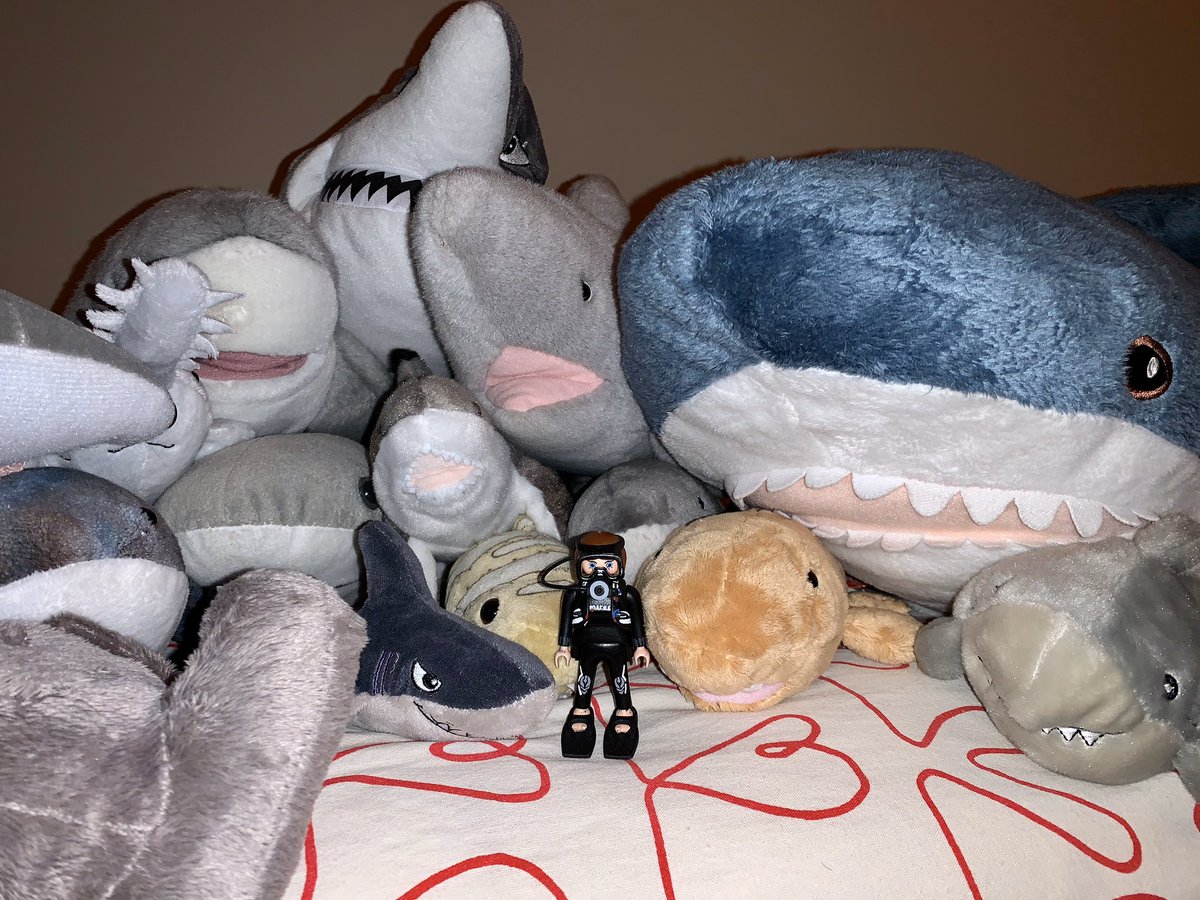 TMigoya's tweet photo. Y yo me pregunto.... @Karlossimon08 , @PaloOrtgSnchz ¿para que os vais tan lejos teniendo al #tiburóntigre en casa? Bueno al tigre y a un montón de especies más 🦈 🦈🦈 #Bahamas #soloesenvidia #perotengomiclickpersonalizado 😍 https://t.co/GRCTrLwY7V