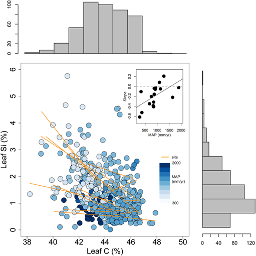 ESAEcology's tweet photo. #New in @ESAEcology
#Soil nutrients and #precipitation are major drivers of global patterns of grass leaf #silicification
#phytolith #nutrition #stoichiometry @scientist_kq @griffithdan @AndersonLabWFU @wfubiology
https://t.co/bi6YM8uBFQ https://t.co/jhCriEJc4X
