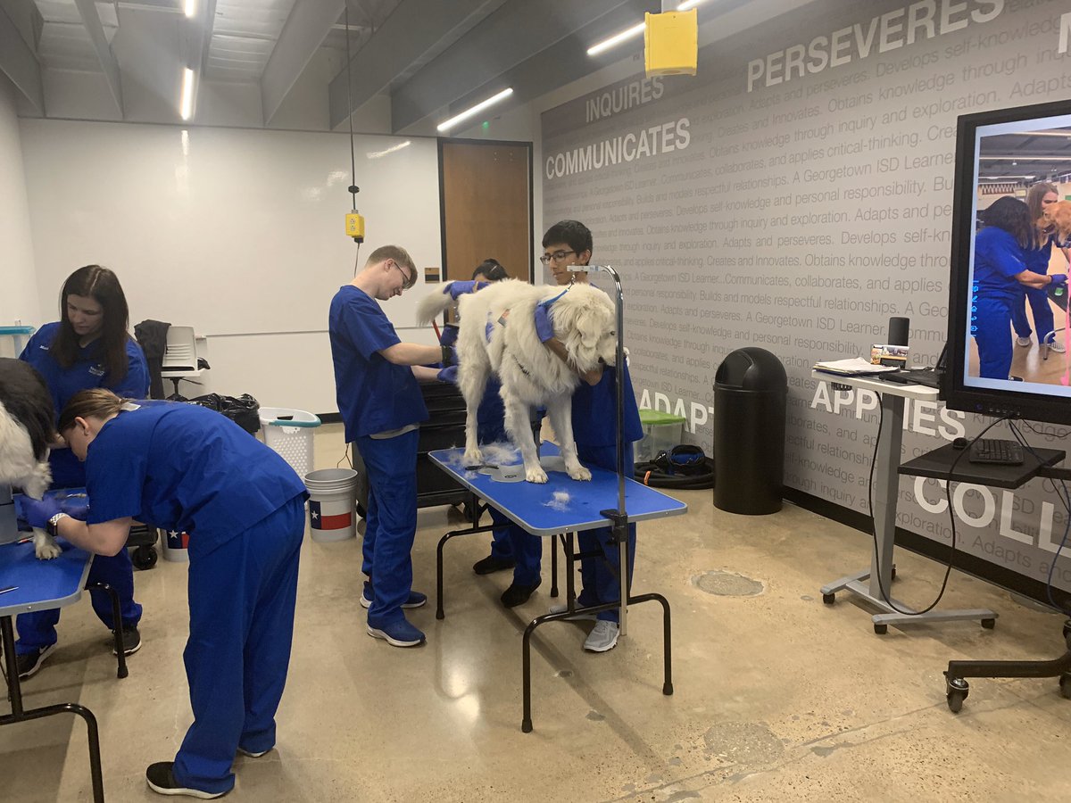 Great day at the GISD State of the District! The Veterinary Assistant Program Team Leads had the opportunity to showcase the program to the community along side many great other programs. <a href="/GeorgetownISD/">Georgetown ISD</a> <a href="/GeorgetownHS/">Georgetown HS</a> @CTEShrek <a href="/ccmrgisd/">College, Career, and Military Readiness in GISD</a> <a href="/georgetownffa/">Georgetown FFA</a>