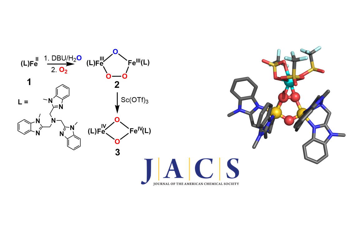IQCCUdG's tweet photo. Mimicking the full catalytic cycle of sMMO for the first time, by @Marcel_Swart in collaboration with #LarryQue and co-workers @UMNChemistry and @MossbauerLab, in @J_A_C_S

https://t.co/BYiJl4IarF https://t.co/jhquI8zj8a