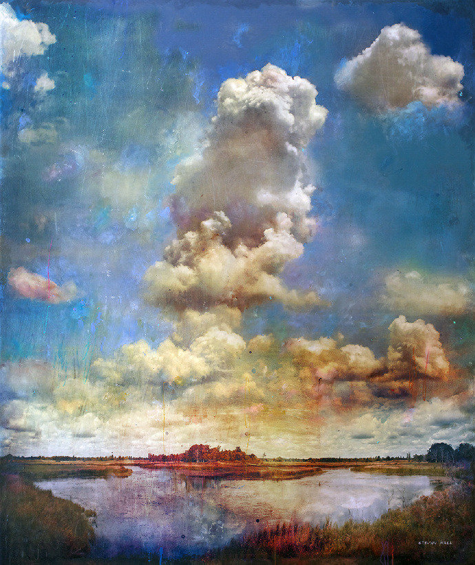 Artist Stev'nn Hall