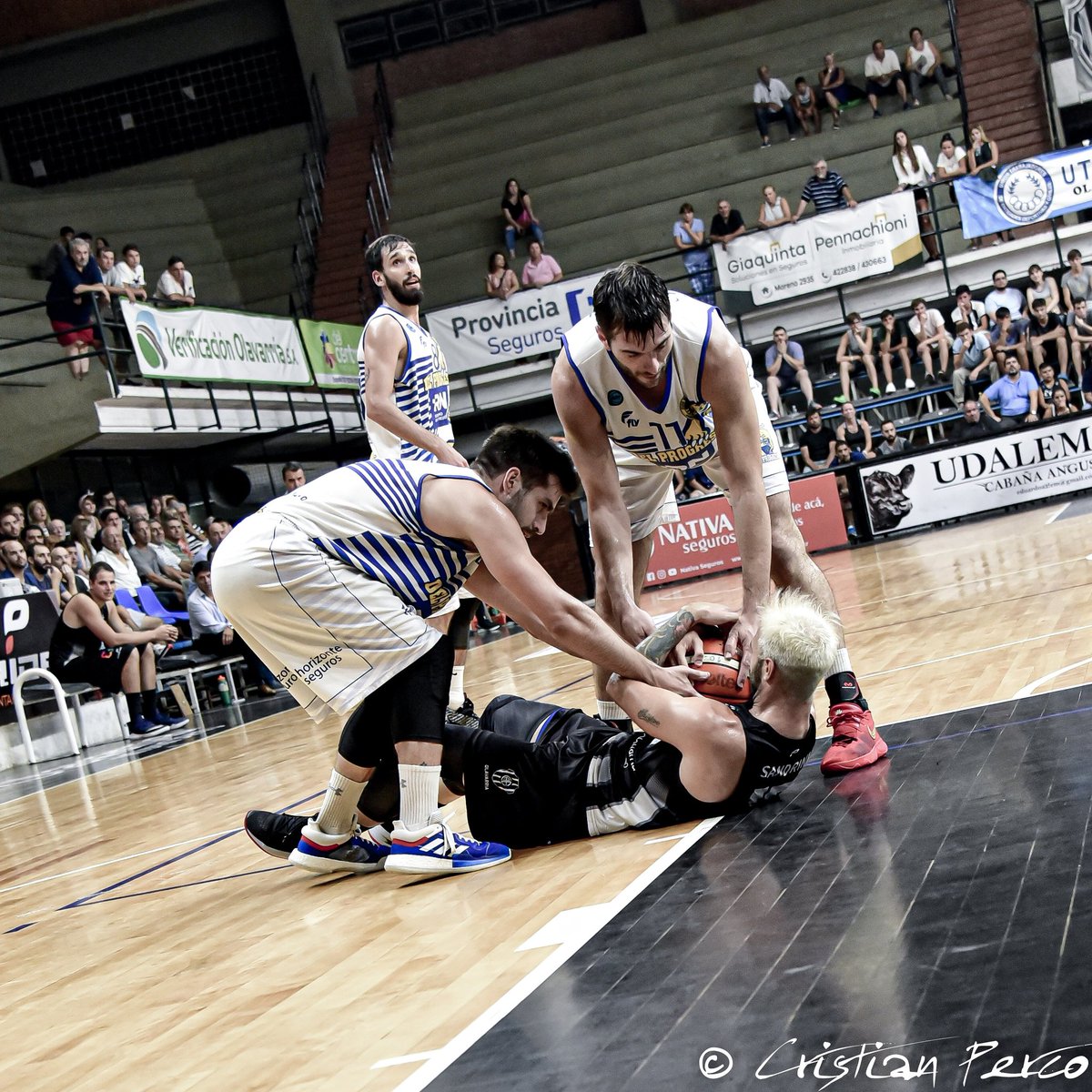ecp1895's tweet photo. 📷
" Mira si tendría ganas de jugar @Jere_Sandrini que se quería llevar la pelota... "
⚫️⚪️⚫️
🔟
⛹️
🏀
#actitudbataraz
#basket #basketball #basquet #la10 #ligaargentinadebasquet #tna #nikon #nikond750 #d750 #nikkor24120 #sports #argentina #olavarria #sandrini #v10 #JS10 #jere https://t.co/3eoADAdUuF