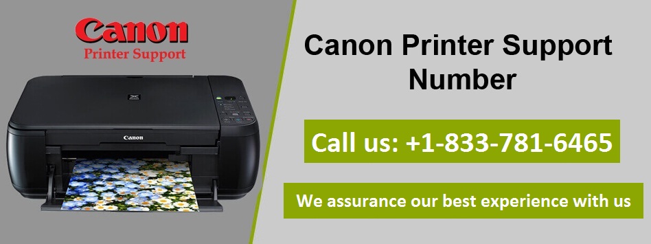 Technical Support Help USA Twitter: "How to Canon 5200 printer error | contact +1-833-781-6465 Canon 5200 printer error shows a damaged or defective cartridge. the ink cartridge inserted in