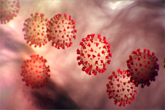 Visit our novel #coronavirus resource page to learn more about 2019-nCoV. We will continue to update resources as new information is available. hubs.ly/H0mX3rj0