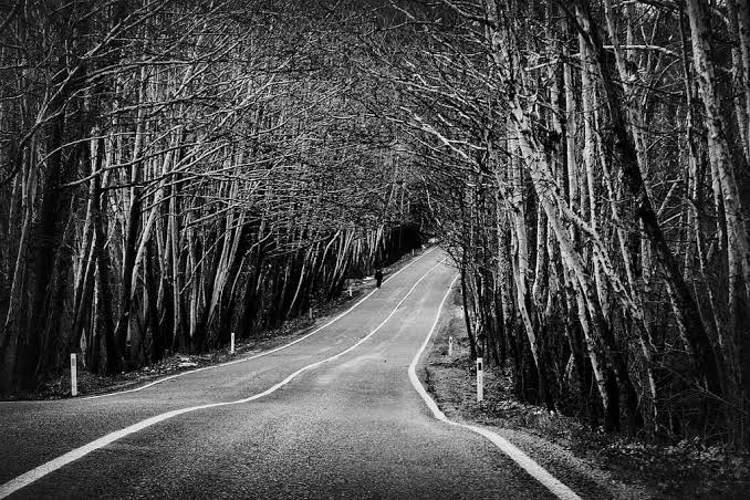 Akmıyor sanki hayat, illa ki gitmek gerek. Gitmek ama nereye? Önemi yok. Gitmek ama niye? Yanıtı yok. Aslında varılacak yer dahi o kadar önemli değil, zira aslolan gitmek, gidebilmek. Zaman zaman... Her zaman...