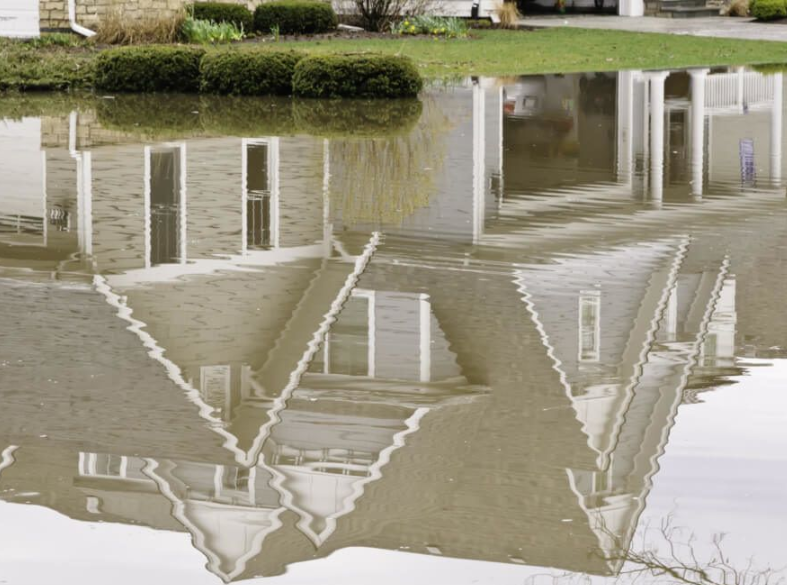 CleanCrawls's tweet image. If the unfortunate is reality and you have a flooded crawl space, Clean Crawls is here to help. We have Field Representatives &amp;amp; Service Trucks ready to remove the water &amp;amp; dry out your crawl space. Call 360-325-4332 to be seen and get the water out today.
Please stay safe and dry!