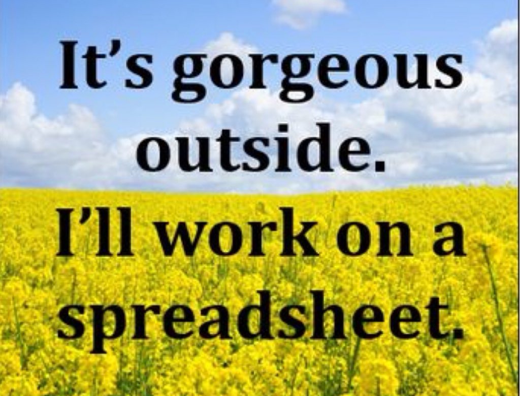 SandraVerbr's tweet photo. Hele dag aan 1 spreadsheet gewerkt.
Één.
#maarhijiswelnuttig #hoopik
#mylifeisanadventure #sarcasm https://t.co/GTHgyK354e