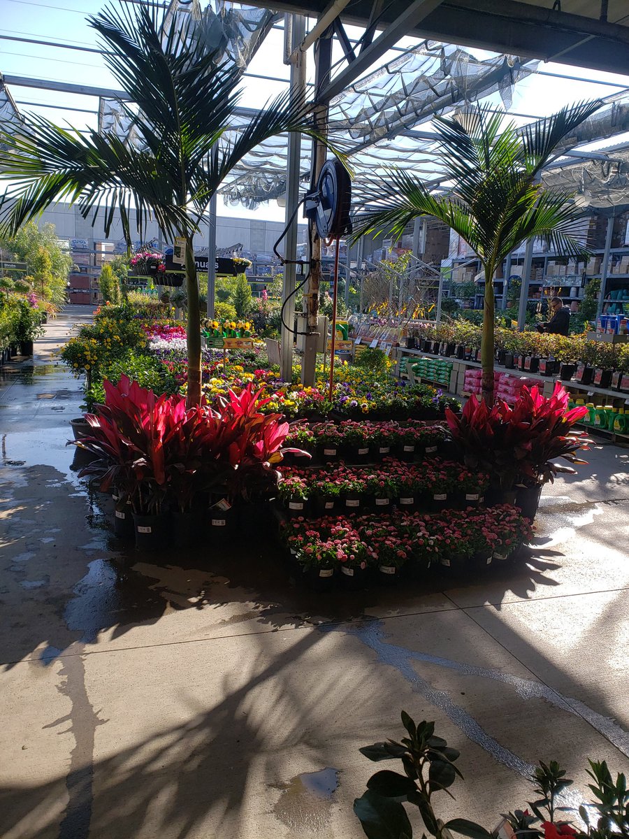 Michael Serrano tweet media