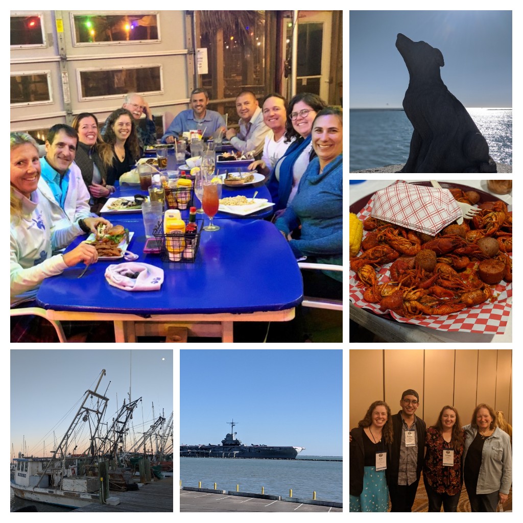 erin_seney's tweet image. It&apos;s been a whirlwind, but I had a great time at #SERSTM2020 in Corpus Christi, full of great science, awesome food, and wonderful turtle people. Thanks @SERSTM_2020!