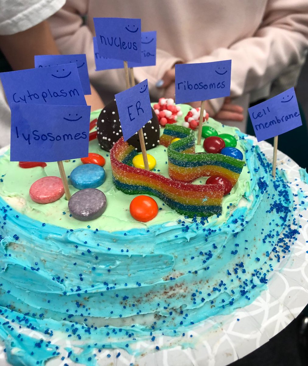 JParsons_DCS's tweet photo. @gmsDCSD 6th grade science cell cake! 👀 https://t.co/CAM1PWqGrR
