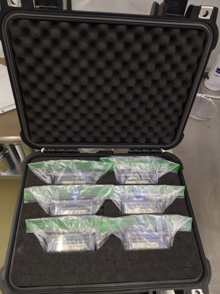 RDI is delivering six Micromegas detectors to Texas A&amp;M Cyclotron institute for testing as part of their new TexAT system. Thanks to the precise work of the team, there were no losses in the material and we have made all with zero scrap loss!