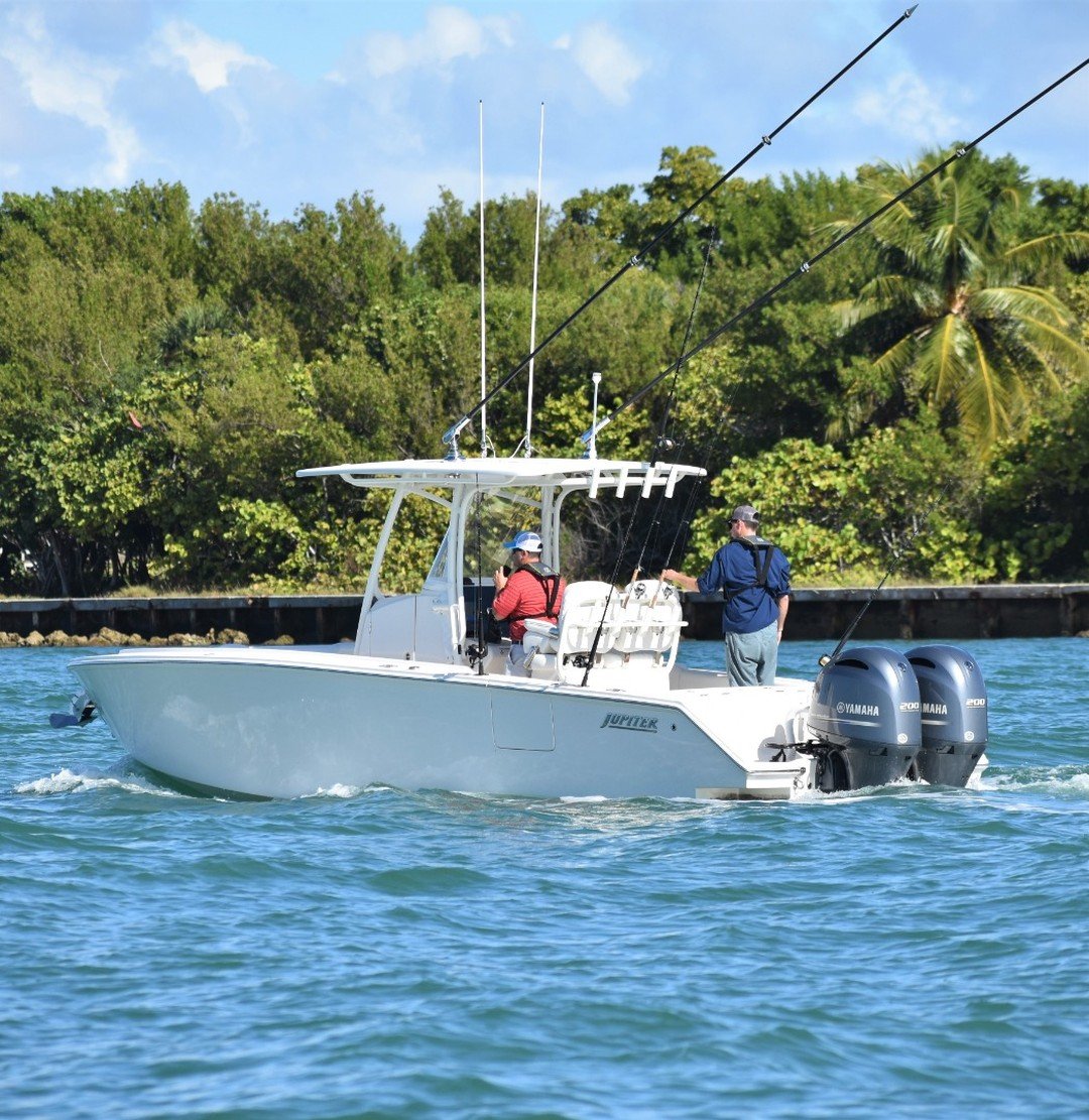 JupiterMarine's tweet photo. Jupiter 26 | May your weekend be filled with #goodtimes and #tropicalvibes🌴
.
.
.
#Jupiter26 #IslandLife #Tropical https://t.co/tSV1aeWjfY