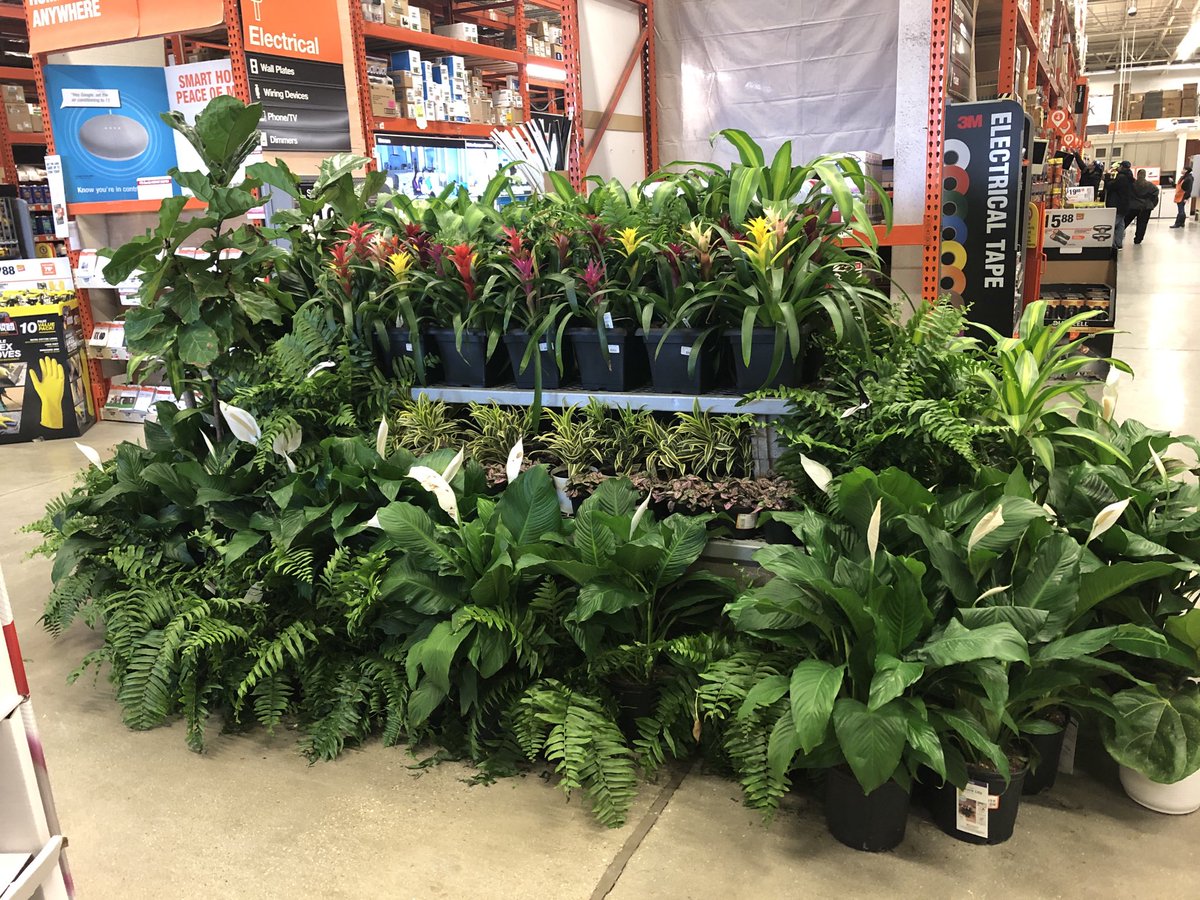FarmsCosta's tweet photo. HD1961 Weekend ready! #THD #costafarms https://t.co/2eRcHdfr30