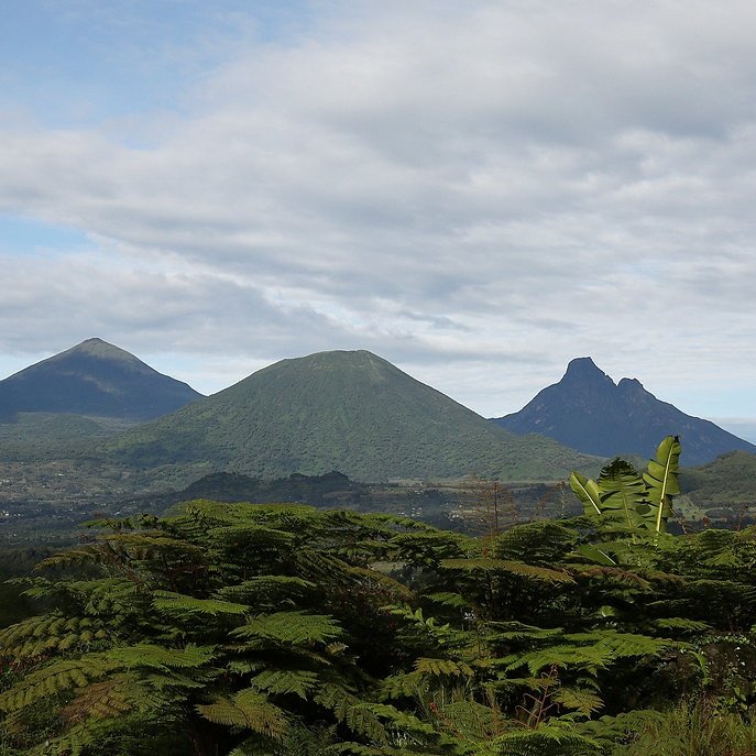 MultitasksOasis's tweet image. 