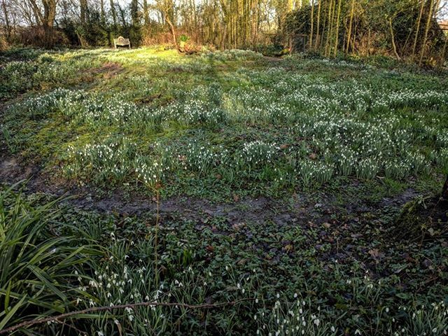 Huizen voor de Toekomst tweet media