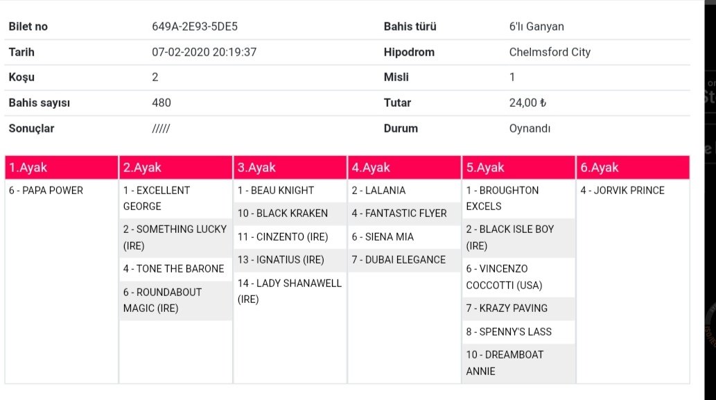 galopcu35_5's tweet image. #papapower #chelmsford #horse