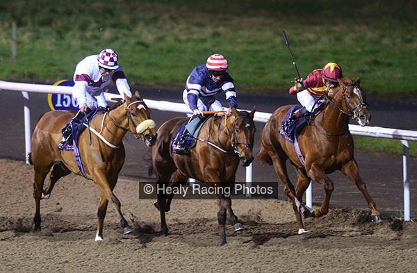 irishracing.com (@irishracing) on Twitter photo Crossfirehurricane maintains unbeaten record <a href="/DundalkStadium/">Dundalk Stadium</a> irishracing.com/news?prid=2066… Crossfirehurricane maintains unbeaten record <a href="/DundalkStadium/">Dundalk Stadium</a> irishracing.com/news?prid=2066…