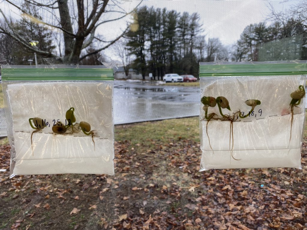 Hydroponics at its finest! @GayheadGrizzly @KoehlerTara