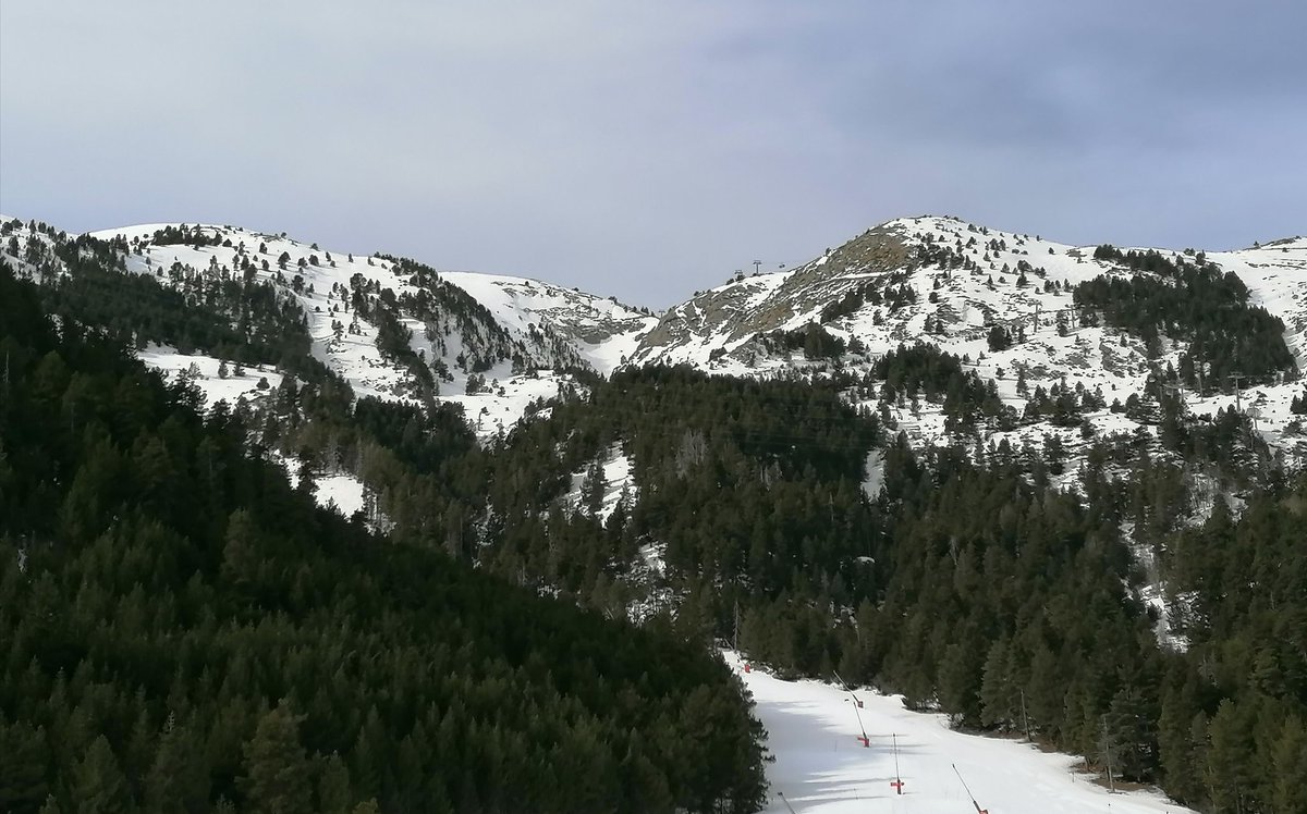 MariaTecEsqui's tweet photo. Aquestes són unes de les vistes que podem gaudir el "Llac", el nou telecadira de La Molina. Si aneu en silenci i contemplant dins del bosc, podeu tenir l'oportunitat de veure algun isard
#photograghy #mountain #snow #winter #cerdanya #pins #Catalunya #sky #esquí https://t.co/zkVLMexEMe