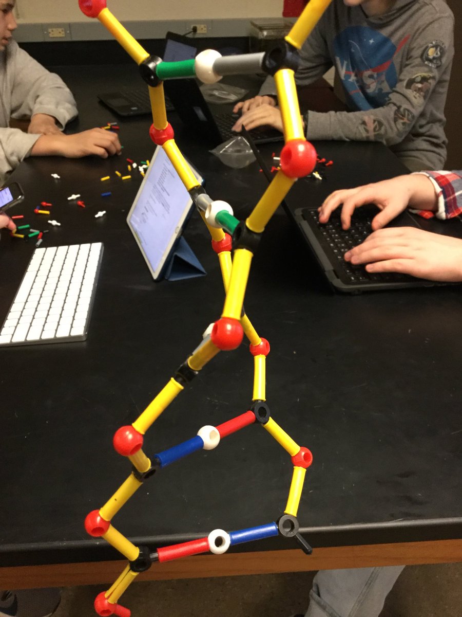Ms_K_WHS's tweet photo. Hands on DNA models today! Base pairs, hydrogen bonds, deoxyribose sugars! Woot! https://t.co/lBVfQ8v7Om