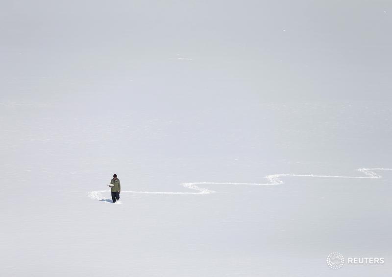 Reuters Pictures tweet media