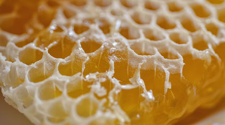 BioResJournal's tweet image. #Research on the effect of #beeswax impregnation on the #dimensionalstability, #surfaceproperties, &amp;amp; thermal characteristics of #wood.

ow.ly/K2zh50ygFv4
#BioResJournal #impregnatedwood #woodresearch