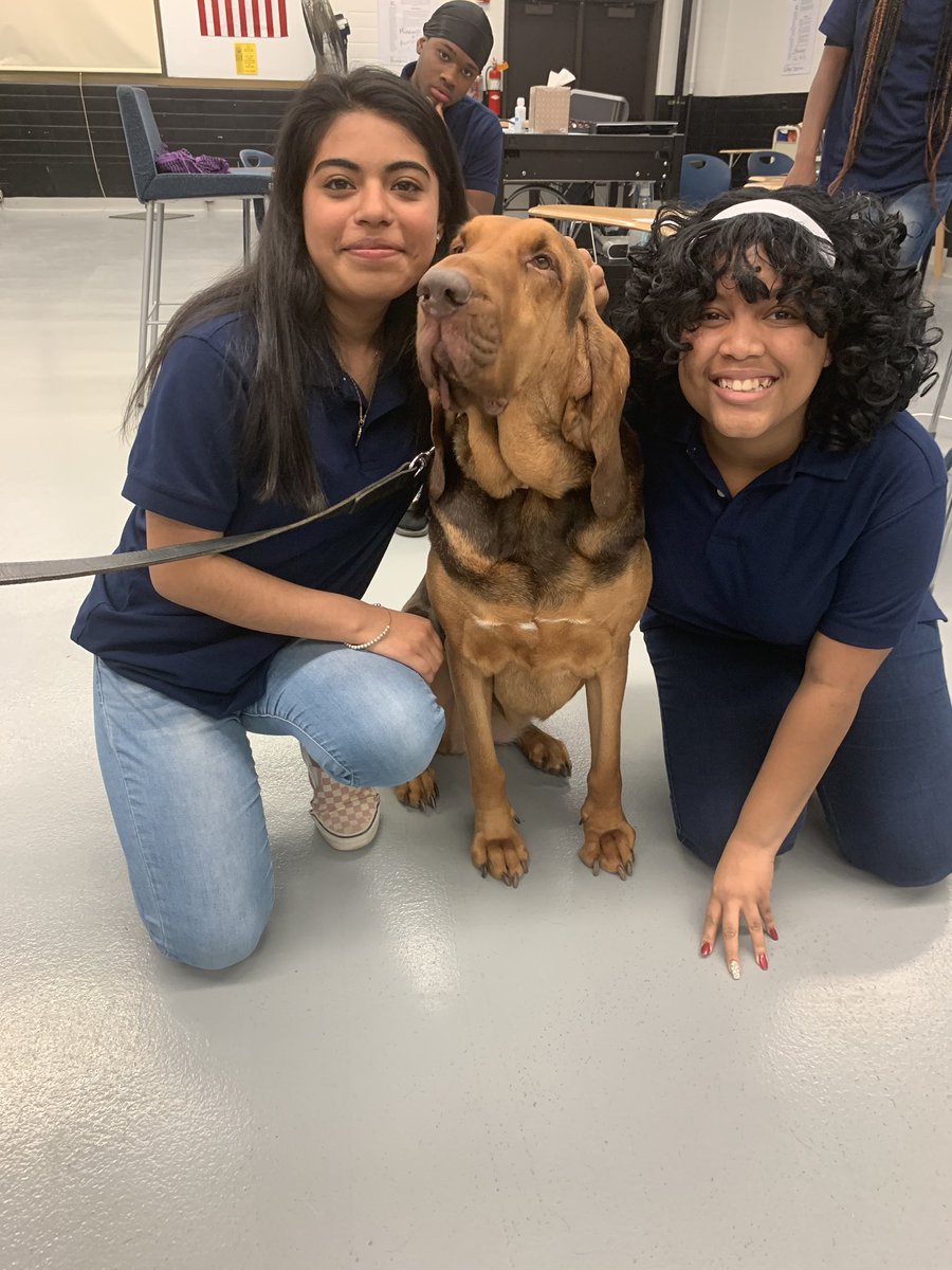 mynethonorfirst's tweet image. What an AMAZING visit yesterday with @MonmouthSheriff #OfficerKroeper and his #K9Partners #K9Skye &amp;amp; #K9Gunner our #LPSCadets loved every minute of it! #Narcotics #Trackers #LoveOurK9s #Puppies💜 #GetReadyForAllThePicsAndVideos #HonorFirst @Asbury_ParkSD @sunshine1018