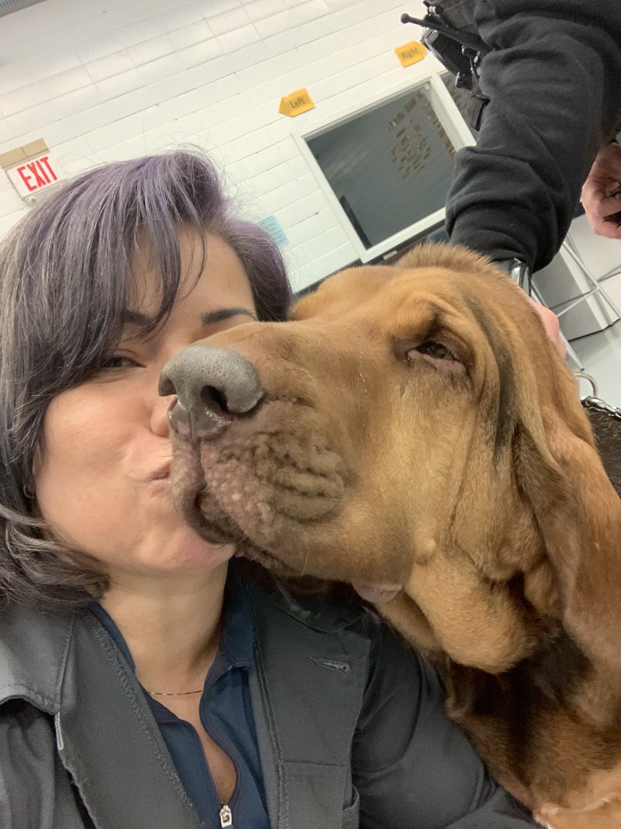 mynethonorfirst's tweet image. What an AMAZING visit yesterday with @MonmouthSheriff #OfficerKroeper and his #K9Partners #K9Skye &amp;amp; #K9Gunner our #LPSCadets loved every minute of it! #Narcotics #Trackers #LoveOurK9s #Puppies💜 #GetReadyForAllThePicsAndVideos #HonorFirst @Asbury_ParkSD @sunshine1018