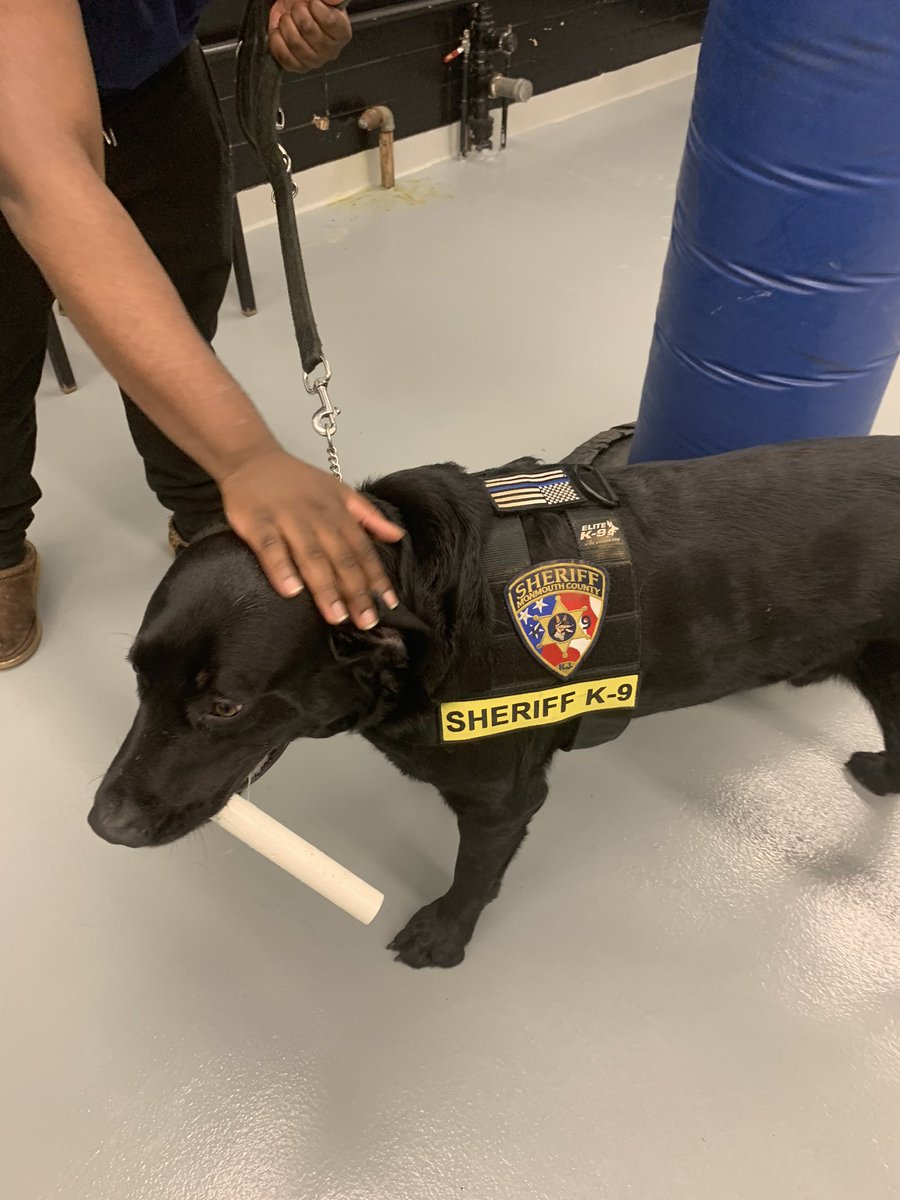 mynethonorfirst's tweet image. What an AMAZING visit yesterday with @MonmouthSheriff #OfficerKroeper and his #K9Partners #K9Skye &amp;amp; #K9Gunner our #LPSCadets loved every minute of it! #Narcotics #Trackers #LoveOurK9s #Puppies💜 #GetReadyForAllThePicsAndVideos #HonorFirst @Asbury_ParkSD @sunshine1018