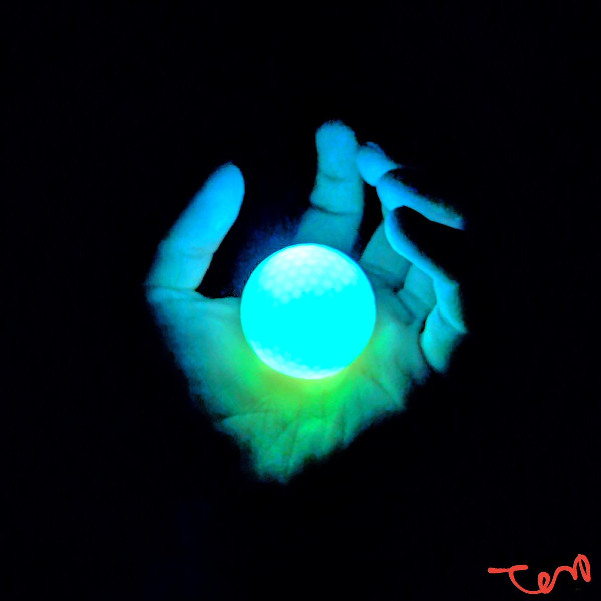 Tom Liberman tweet media