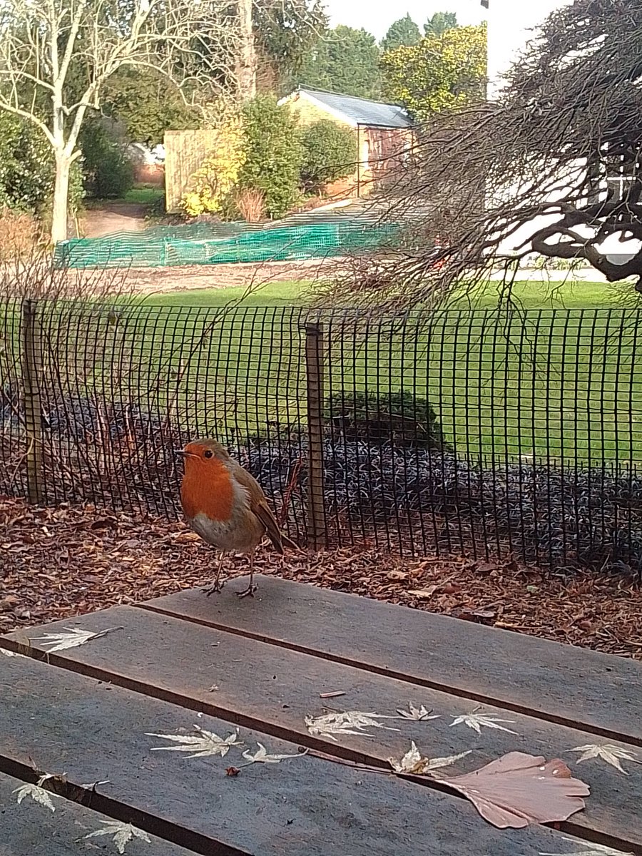 This chap joined me for my lunch break today. Learning all about #safeguardingsupervision @HampshireSCP