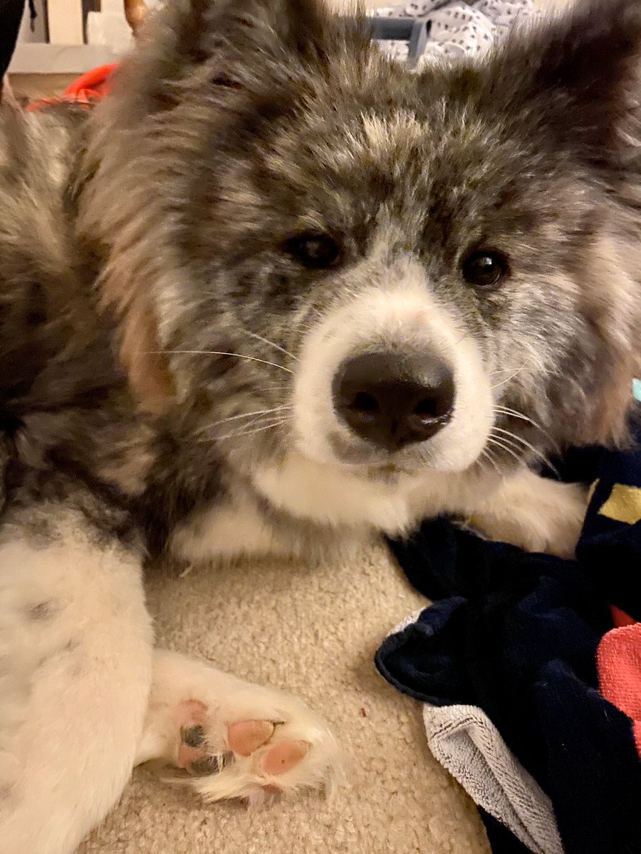 Delphine Tseng tweet media