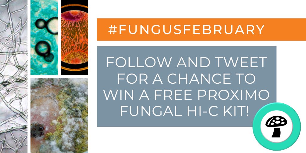 PhaseGenomics's tweet photo. Do you love #fungi? Do you love #genomes? Do you love fungal genomes? Tweet us a picture of your favorite fungus to enter to win a FREE Proximo Hi-C fungal kit! Follow and tag @phasegenomics and use #FungusFebruary with your picture for a chance to win. The raffle ends 2/14! https://t.co/y01uEyKntA