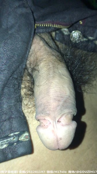 狗子冒险家 tweet media