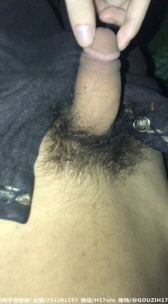 狗子冒险家 tweet media