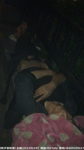 狗子冒险家 tweet media