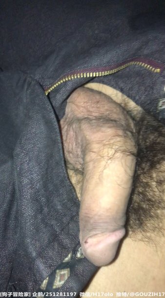 狗子冒险家 tweet media