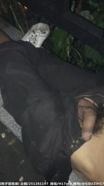 狗子冒险家 tweet media