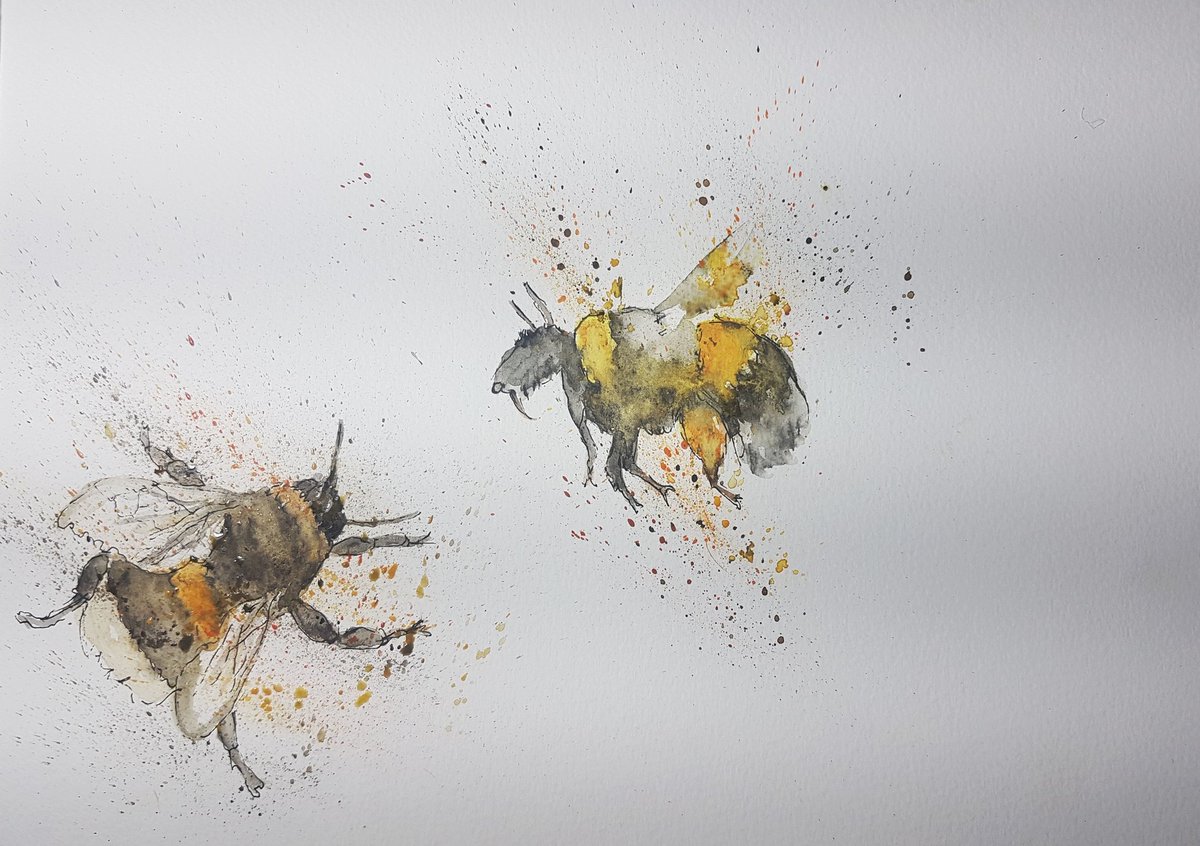 AimiBellArt's tweet photo. Day 7: wee bees.
#weebees #watercolour #paint #pen #bees #painting #drawing #paisley #scottishart #etsyseller https://t.co/5T5CnlDqtb