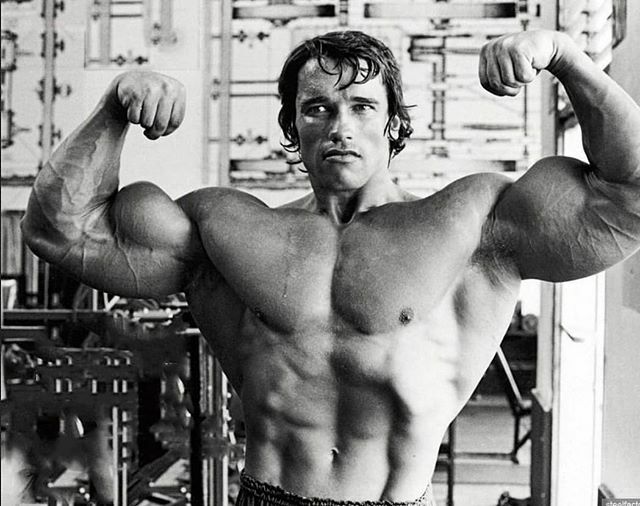 Aesthetics_True's tweet photo. 🏆 Biceps 📸
@schwarzenegger 
_

#bodybuilding #fitness #gym #workout #motivation #fitnessmotivation #fit #muscle #bulk #training #gymlife #bodybuilder #gymmotivation #powerlifting #followforfollowback #arms #strong #squats #gains #physique #ifbb #nopa… https://t.co/R8C7JaBsX6 https://t.co/CynnckwyH3