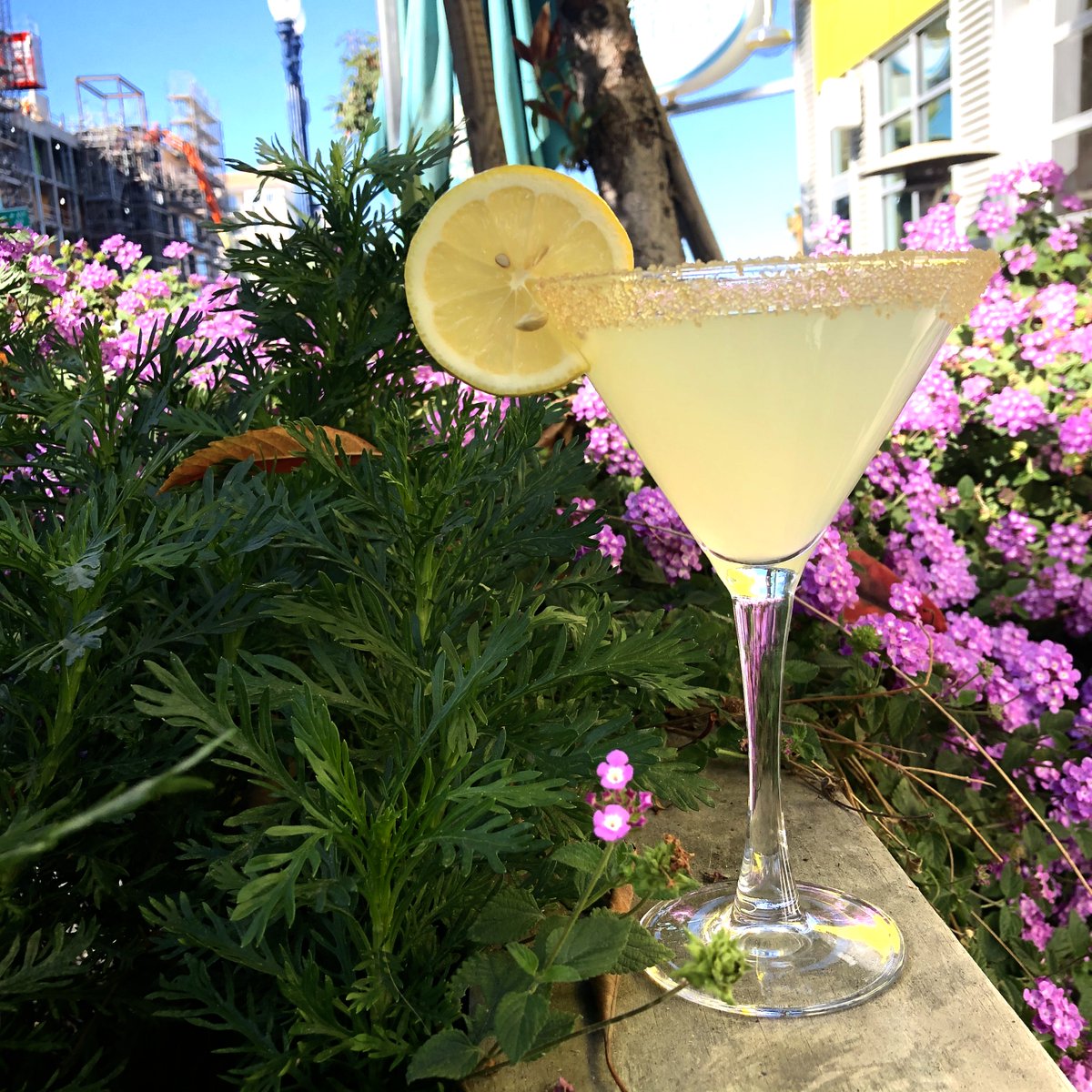 Sip Sip Hooray!! Cheers to nice weather all year long! #lemondrop #clinkanddrink #oceanside #cocktails #sunshine